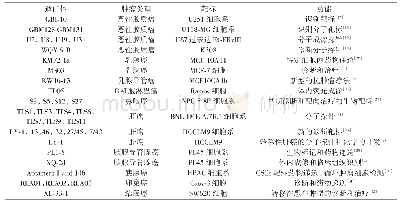 表2 应用Cell-SELEX筛选出的核酸适配体