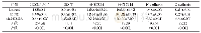 表2 细胞中HCG18表达、OD值、迁移数目、侵袭数目以及N-cadherin、E-cadherin蛋白表达差异比较（±s)
