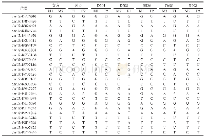表4 胚胎单倍型连锁分析结果