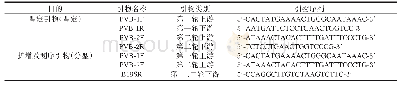 表1 人细小病毒B19核酸检测试剂国家参考品PCR扩增及测序引物[6]