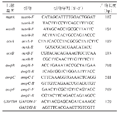 表1 大肠埃希菌RT-q PCR引物序列[10]