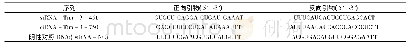 《表2 siRNA引物信息》