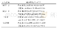 表1 引物序列：β-AR信号通路介导去甲肾上腺素提高HT-29细胞侵袭能力的研究