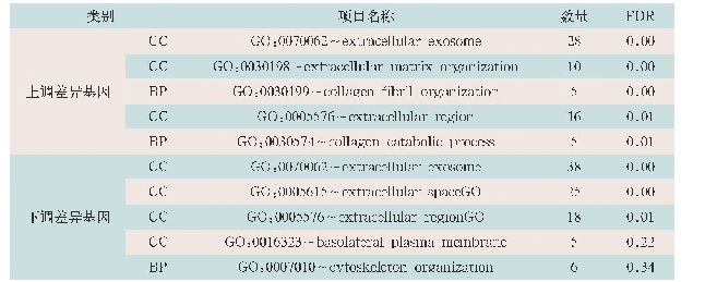 表1 前5位差异表达基因的生物学过程富集