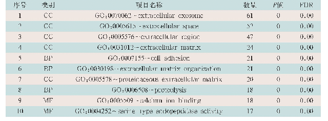 表2 前10位GO功能富集分析差异表达基因(以count值降序排列)