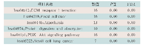 表3 所有差异基因KEGG通路富集分析结果