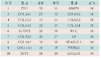 《表4 蛋白质相互作用网络中排名前20名的中心节点蛋白质》