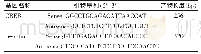 《表2 PCR引物序列及产物长度》