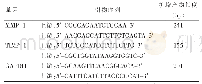 表1 引物序列一览表：参草通脉颗粒对慢性心力衰竭大鼠抗心室重构机制的影响