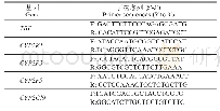 表1 用于实时荧光定量PCR分析的引物序列