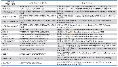 表1 本研究所用PCR引物