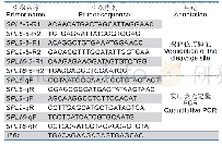 表1 龙眼miR156a靶基因验证及qPCR引物