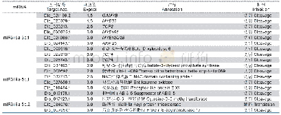 表3 龙眼miR319家族成员靶基因预测