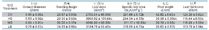表1 不同光环境下罗甸小米核桃幼苗植株形态特征
