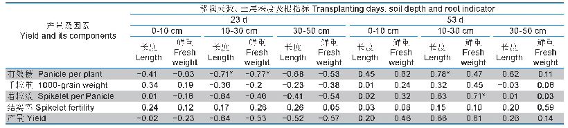 表4 水稻根系空间分布对水稻产量及其构成因素的影响相关性分析