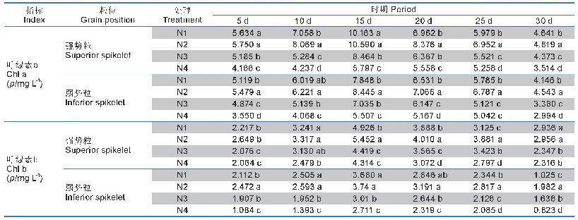 表6 苦荞叶片中的叶绿素含量