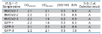 表3 RNA质量检测：基于RNA干扰的家蝇几丁质酶2的幼虫转录组测序