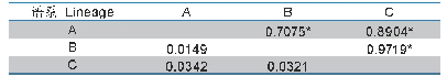 表3 拟细鲫谱系间的遗传距离（对角线下方）和遗传分化指数Fst（对角线上方）