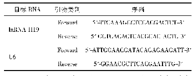 表1 目标RNA的PCR扩增引物序列