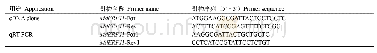 表1 本研究中所用的引物