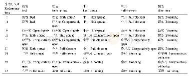 表2 蜡梅花枝清水培养下鲜花开放状态的观测结果