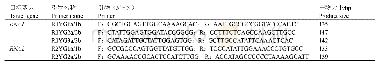 《表1 GFabV实时荧光定量RT-PCR引物序列》