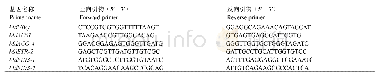 表1 乙烯相关基因qRT-PCR引物序列