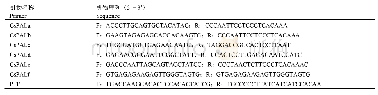 表1 引物的名称及序列：基于全基因组的茶树PAL家族基因鉴定及其在生物与非生物胁迫下的表达分析