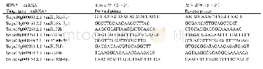 表2 miRNA靶基因荧光定量PCR引物