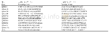 表1 实时定量PCR引物序列
