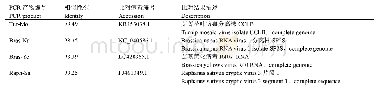 表2 PCR产物序列与NCBI比对结果