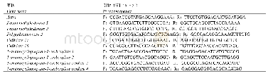 表1 实时定量PCR分析基因表达所用的引物