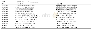 表1 辣椒NAT基因实时荧光定量引物