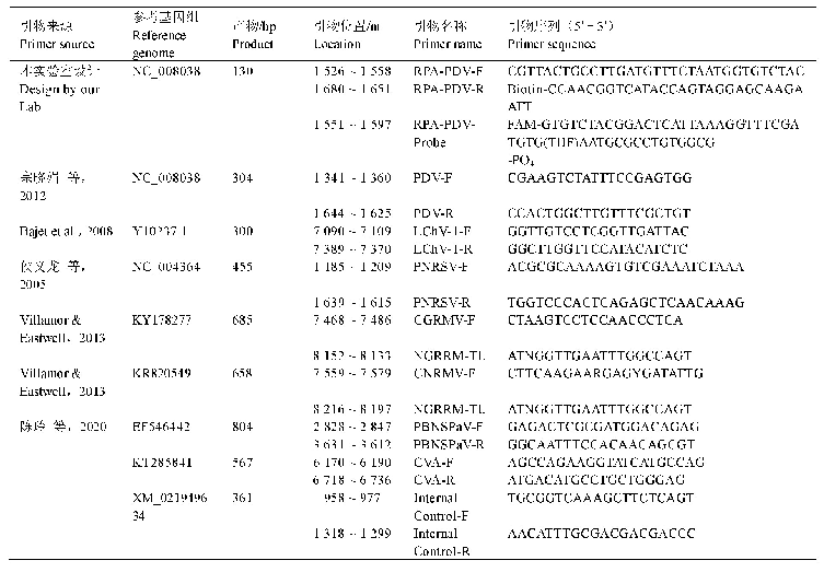 表1 所用引物和探针序列