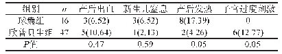 表5 球囊组与欣普贝生组产妇及新生儿不良反应比较[n(%)]