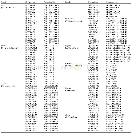 Table 1 WNK family members identified in this study