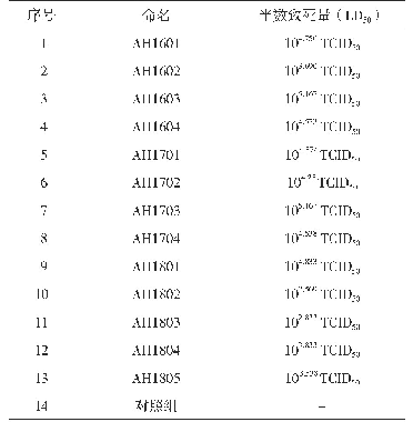 表1 13株PRV安徽分离株对小鼠的LD50测定结果