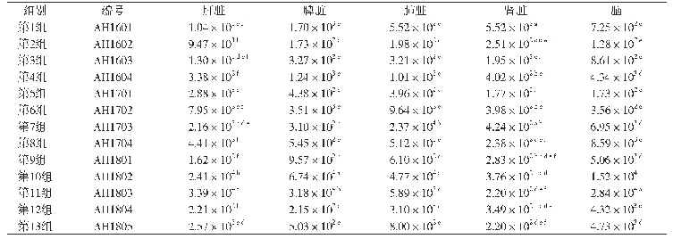 表2 13株PRV分离株攻毒后小鼠各组织病毒载量的测定结果