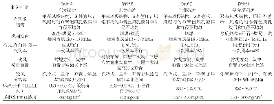 表1 技术特点及运行实绩