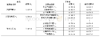 表4 矿工习惯性违章行为指标体系最终组合权重(部分)