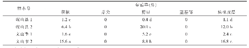 表1 三七种苗根茎组织不同部位传带柱孢菌比率1)