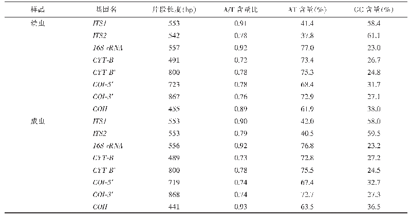 表2 粗鳞蜡螟核苷酸使用频率统计