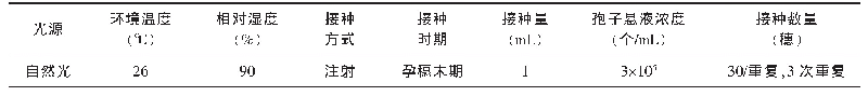 表3 2019年人工气候室试验水稻穗颈瘟人工接种鉴定技术