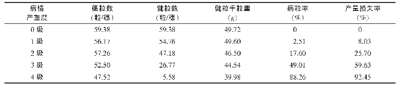 表1 2019年河南平舆小麦赤霉病不同病情严重度的病粒率与产量损失情况