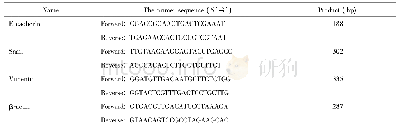 《表1 Real-time PCR引物序列》