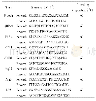 《表1 Real-time PCR引物序列》