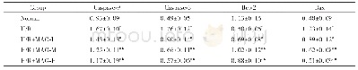 表5 各组凋亡相关分子蛋白的相对表达量比较