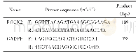 表1 RT-q PCR引物序列