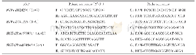 表1 H19及HOTAIR SNPs编码基因的引物序列及探针序列