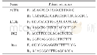 《表1 q PCR引物序列》